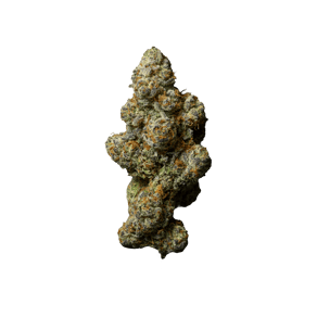 Glitter Bomb