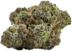 Gelato33