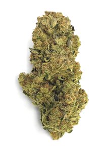 Girl Scout Cookies x Tangie