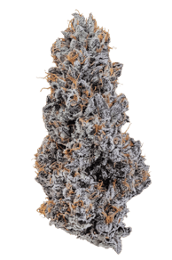 Ice Burn