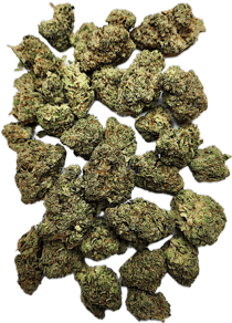 Sour Chocolate Diesel