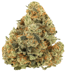 Girl Scout Cookies