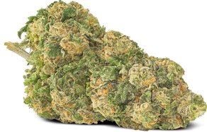 Garlic Mushroom Onion