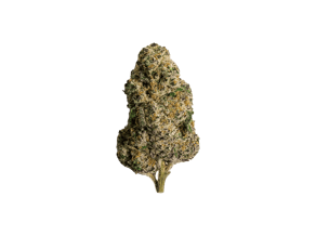 Sunset Sherbert