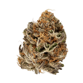 Citron Biker Cookies