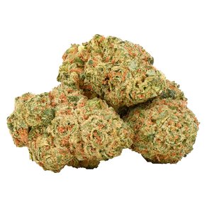 Durban Gorilla