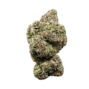 Hawaiian Rain X Permanent Marker