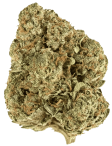 OG Kush