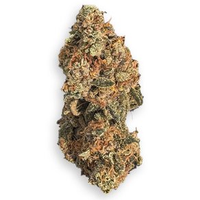 Sour Gorilla