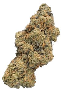 Animal Face Sherb Crasher