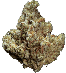 G13 Ultra