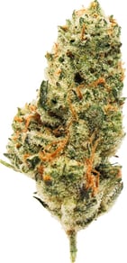 Cap Junky