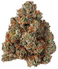 Khalifa Kush