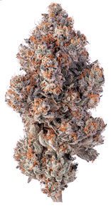 Khalifa Mints