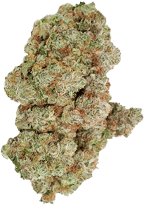 Ocean Grown Cookies
