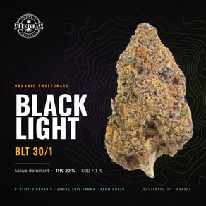 Blacklight