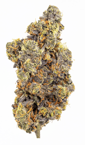 Mint Chocolate Chip