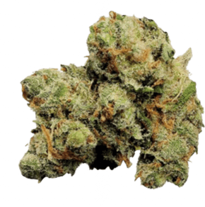 Jack Herer