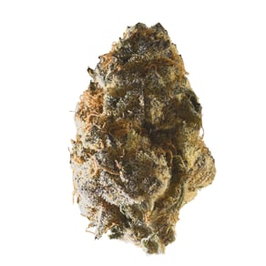 Petrol Cookies