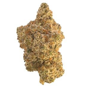 Lemon Cherry Gelato