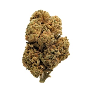 Gelato #33