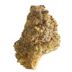 White Truffle
