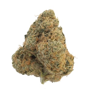 Funky Zkittlez