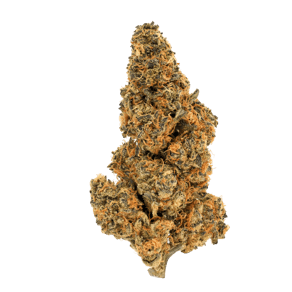 Sunset Gas