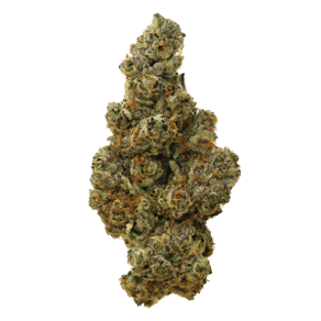 Garlic Chem