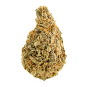 Grape Pie