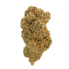 Gelato Mints