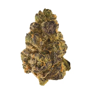 Tropical Banana