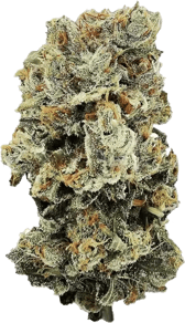 Motor Breath