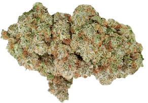 Ocean Grown Cookies