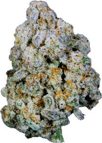 Blue Monkey