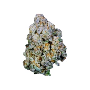 Blue Monkey
