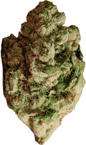 Black Cherry Punch