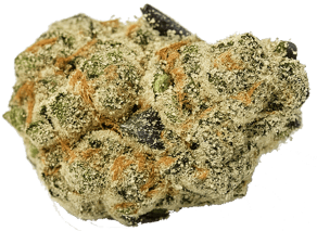Tropic Boom