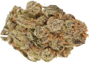 Black Cherry Punch