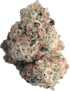 Lava Cake