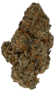 Bubblegumz