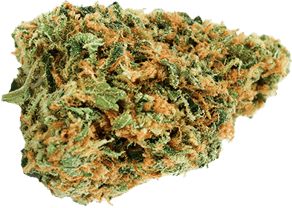 Critical Kush