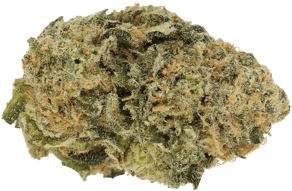 Critical Bilbo