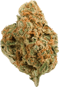 Tangie