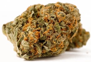 Gorilla Zkittlez