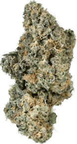 Fine Cookies