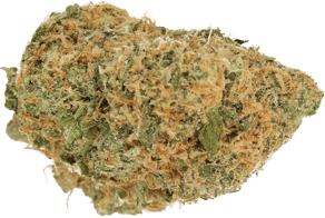 Gelato Dream