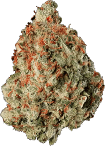 Haymaker Haze