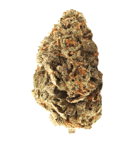 Amnesia Skittlez