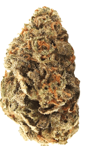 Amnesia Skittlez